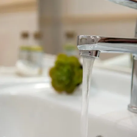 Appartement Il Giglio - Tintori Florence